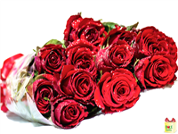 Dozen Red Roses