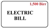 Large Family Electric Bill