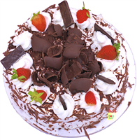 Black Forest Hilton Cake