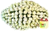 XLarge White Dove Bouquet