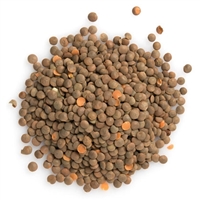 1Kg Whole Lentil á‹µááŠ• áˆáˆµáˆ­