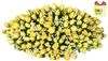 XLarge Yellow Bouquet