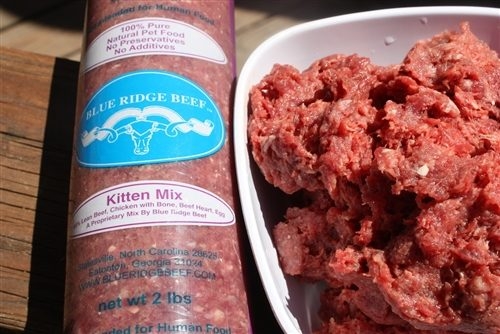 Blue Ridge Beef Puppy Mix (Dogs) Raw Dog Food 2 lb
