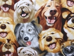 Happy Dogs
