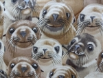 SMILING SEA LIONS