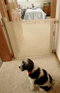 Retractable Dog Gate