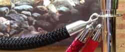 Braided Heavy Ryon Rope