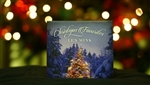 Christmas Favorites - Len Mink (CD)