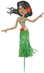 Hula Dancer