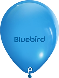 BLUEBIRD  Prima Standard