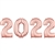 ROSE GOLD 2022 Number Kit