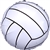 Championship Volleyball Balloon