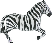 43 inch Zebra Shape