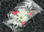 5.5in x 3.25in x 12in CLEAR Cellophane Bags
