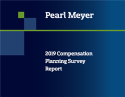 2019 Compensation Planning Survey Report Cover