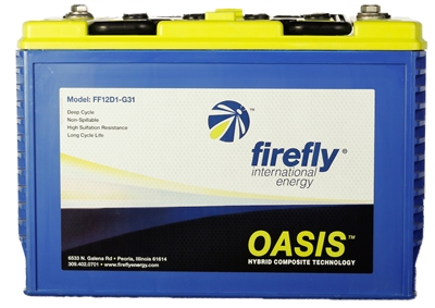 Firefly Energy Battery 12VG31