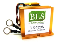 BLS-120A 120V ELECTRIC VEHICLE DESULFATER