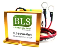 BLS-84-96 84V & 96V ELECTRIC VEHICLE DESULFATER