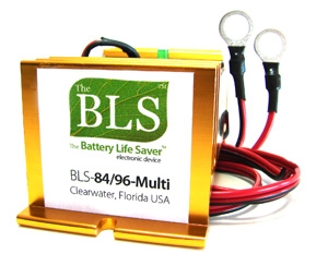 BLS-84-96 84V & 96V ELECTRIC VEHICLE DESULFATER