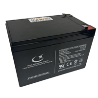NP12V12AH 12V 12.0ah