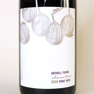 750ml bottle of 2020 Anthill Farms Pinot Noir from the Sonoma Coast of California USA