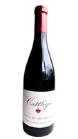 750ml bottle of 2021 Cattleya Pinot Noir Belly of the Whale from the Sun Chase Vineyard on the Sonoma Coast of California USA