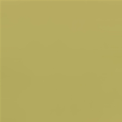 EcoStuccoÂ® ABSINTHE Color