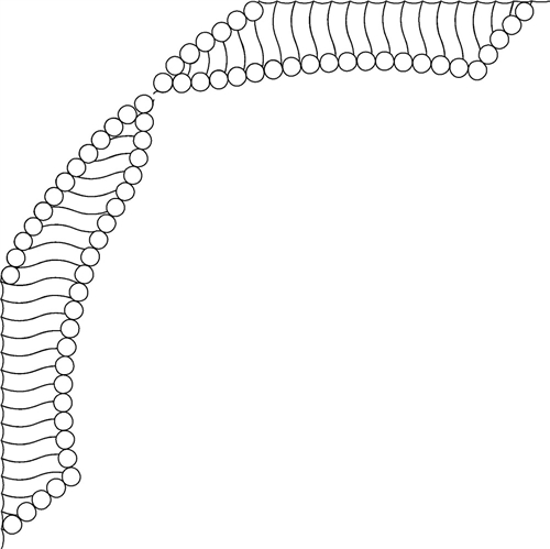 VR Bead and Line Fill A and B