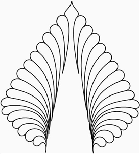 CCS Star Feather 2