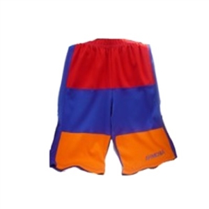 Armenian Tricolor Shorts