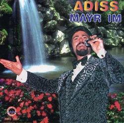 Adiss - Mayr Im