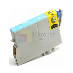 Epson T0485 Ink Cartridge