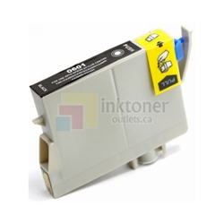 Epson T0601 Ink Cartridge