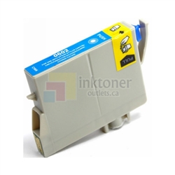 Epson T0602 Ink Cartridge