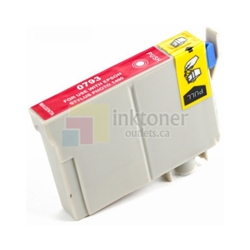 Epson T0793 Ink Cartridge