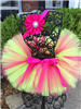 fuchsia and apple green  tutu