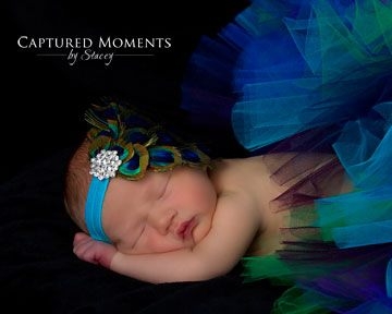 Feather peacock couture headband