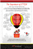 New Brand STEM IMPORTANCE Poster