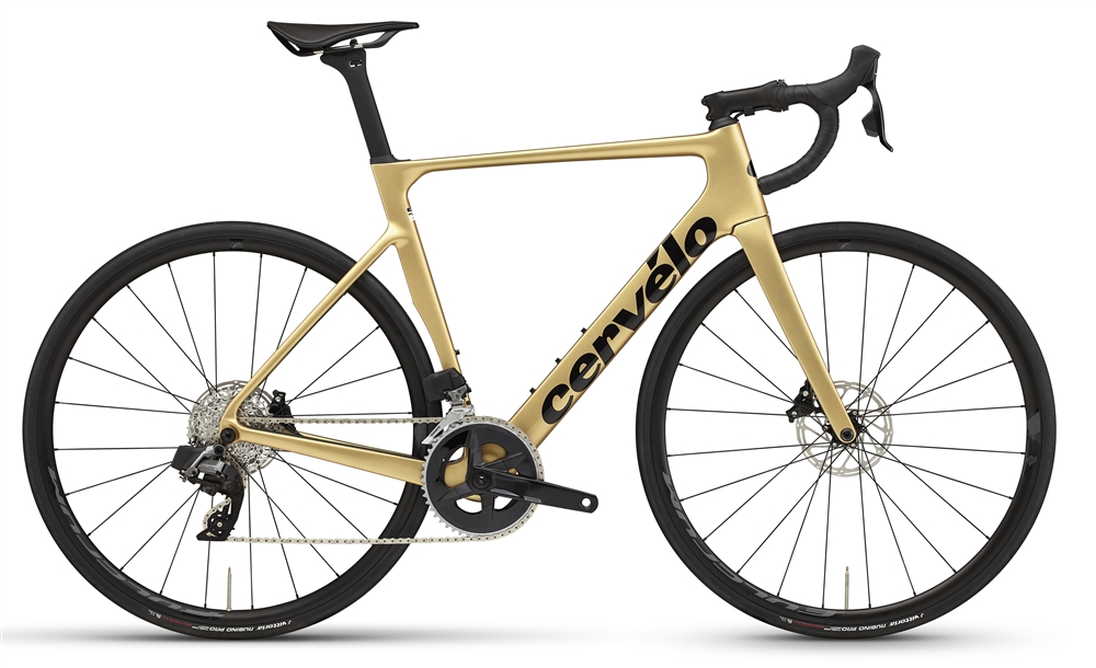 Cervelo Soloist Rival AXS | 2024 | Gold Dust | Premium UK Cervelo stockist, contact us for competitive pricing.