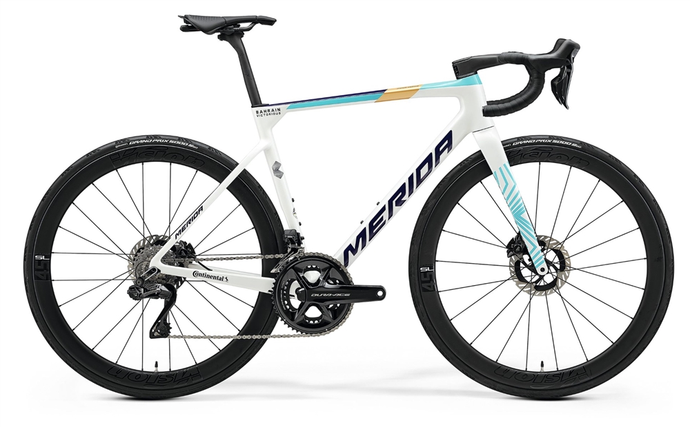 Merida Scultura Team 2024 | Merida Scultura, contact us for competitive pricing and availability.