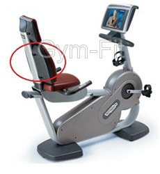 Technogym Excite Recumbent Bike Back Rest