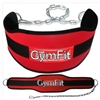 Dipping Belt Weight Lifting & Chain