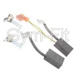 Cybex Treadmill Model 530T Drive Motor Brush & Spring Set fits Leeson Motor 110 + 220v