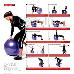 Gym Ball Instruction Chart Poster Beginner Intermediate & Advanced Set of 3