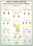 Elbow Flexors and Forearm Muscles Chart