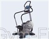 Technogym Excite Step