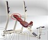 TECHNOGYM SELECTION LINE INCLINE BENCH CLASSIC HEAD REST BORDEAUX COLOUR