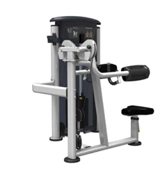 Lateral Raise