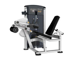 Seated Leg Curl