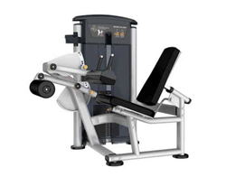 Seated Leg Curl